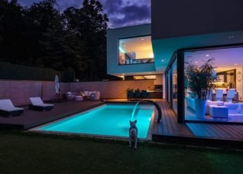 Now Is the Time to Think About Your Small-Business Success