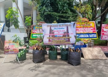 Unik!! Pelantikan Gubernur Banten, Bibit Pohon Jadi Simbol Harapan Lingkungan Hijau di Banten