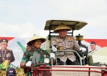 Wujudkan Astacita, Irwasum Polri Pimpin Panen Jagung Serentak di Madiun