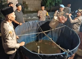 Program Ketahanan Pangan, Kapolres Serang Melaksanakan Panen Ikan Nila Merah Dimapolsek Pamarayan 