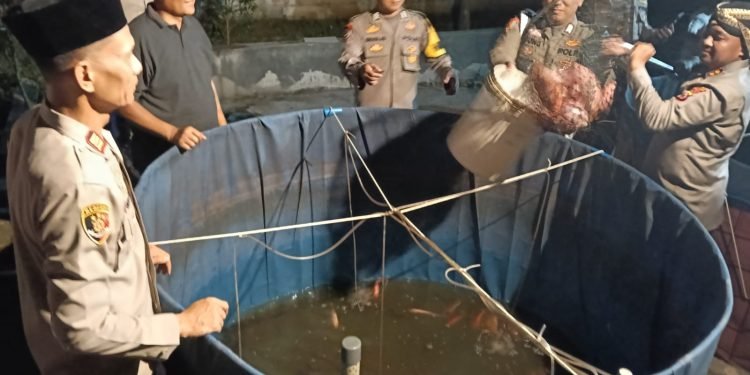 Program Ketahanan Pangan, Kapolres Serang Melaksanakan Panen Ikan Nila Merah Dimapolsek Pamarayan 