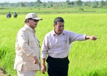 Kerja Sama Nasional Berbuah Manis:  Cadangan Beras 4 Juta Ton!