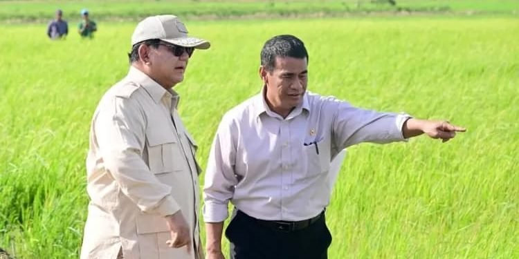 Kerja Sama Nasional Berbuah Manis:  Cadangan Beras 4 Juta Ton!