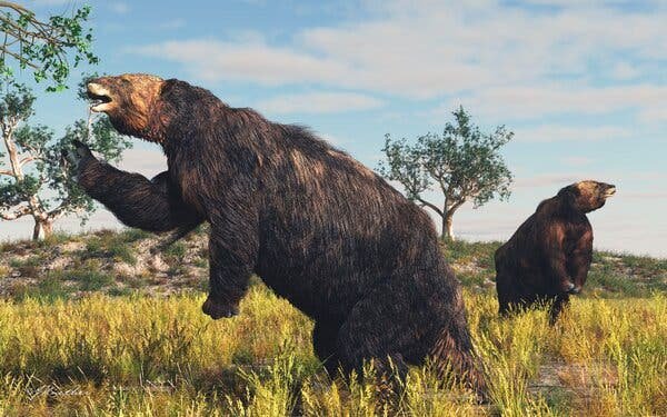 Kepunahan Kungkang Raksasa: Peran Iklim dan Manusia