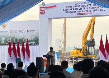 Kabinet Prabowo: Kerja Keras Tanpa Henti, Swasembada Energi Jadi Target