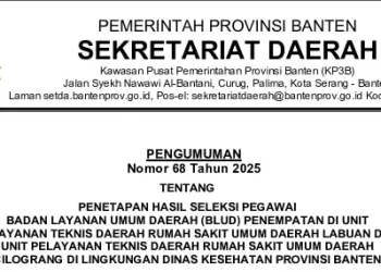 Dugaan Kecurangan dalam Rekrutmen Pegawai RSUD Labuan dan Cilograng