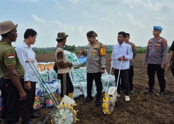 Kapolres Serang Tanam Jagung, Dukung Ketahanan Pangan Nasional