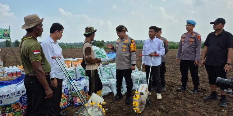 Kapolres Serang Tanam Jagung, Dukung Ketahanan Pangan Nasional