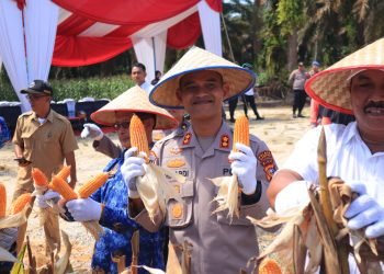 Kapolres Kampar Pimpin Panen Raya Jagung, Dukung Ketahanan Pangan Nasional