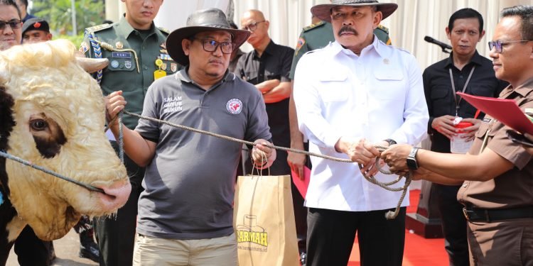 Penyerahan Hewan Kurban Idul Adha 1446 H di Kejaksaan Agung RI