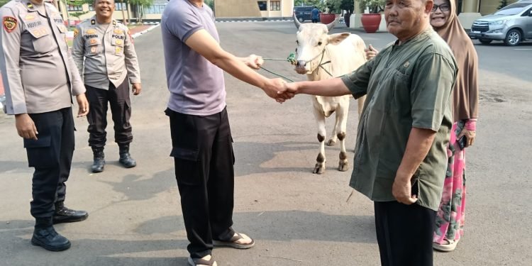 Polres Serang Distribusikan Hewan Kurban Jelang Idul Adha