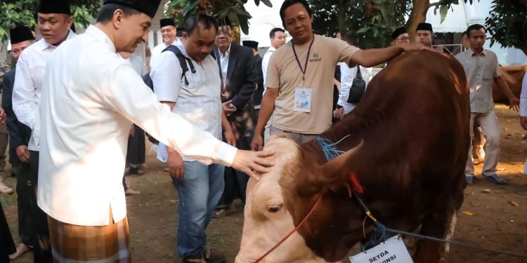 Kepemimpinan dan Keteladanan: Wagub Banten Sholat Idul Adha Bersama Masyarakat