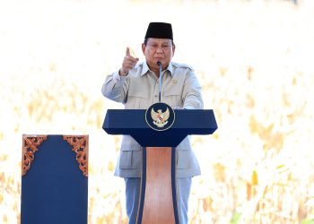 2,54 Juta Ton Jagung dari Bengkayang:  Kolaborasi Menuai Hasil Melimpah!