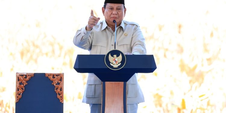 2,54 Juta Ton Jagung dari Bengkayang:  Kolaborasi Menuai Hasil Melimpah!