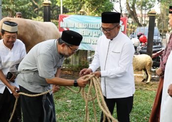 Kurban Presiden Prabowo di Banten: 1,15 Ton Daging untuk Masyarakat