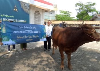 Senyum Bahagia Warga Tebu Ireng:  Kurban Melimpah Maniskan Idul Adha