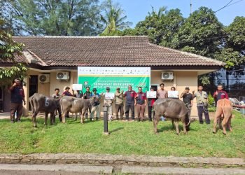 PT Angels Products Salurkan Hewan Kurban, Wujudkan Komitmen Sosial