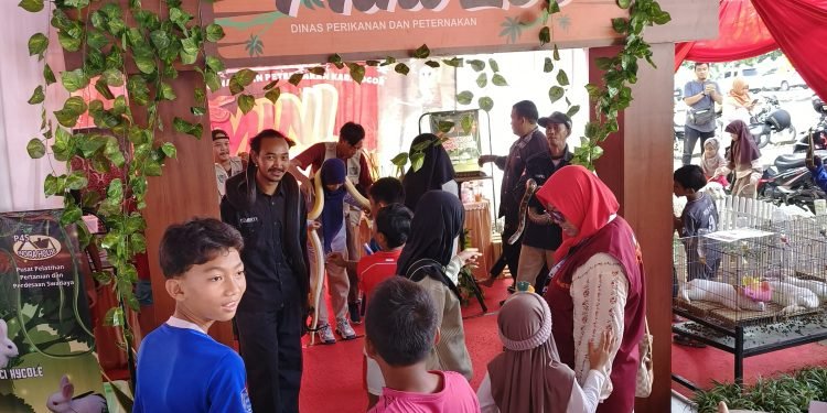 Kabogorfest 2025: Mini Zoo Gratis di Stadion Pakansari