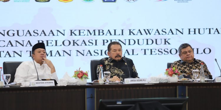 Kolaborasi Nasional Selamatkan Taman Nasional Tesso Nilo