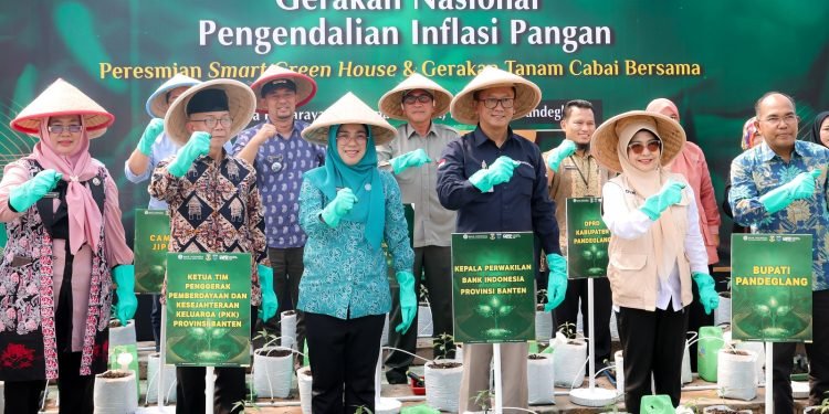 Pemanfaatan Pekarangan Rumah untuk Peningkatan Ketahanan Pangan di Provinsi Banten