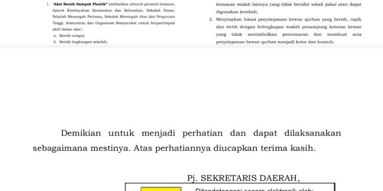 Bandung Gelar Aksi Bersih Sampah Plastik dalam Peringatan Hari Lingkungan Hidup Sedunia