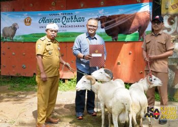 Unpad Salurkan 76 Domba Kurban untuk Masyarakat Sekitar