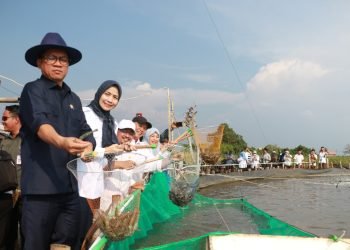 Panen Raya Udang Vaname: Desa Domas Berjaya!