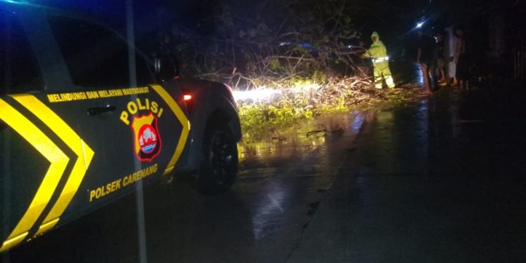 Aksi Cepat Polsek Carenang: Pohon Tumbang Dievakuasi Usai Hujan Lebat