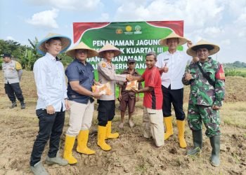 Swasembada Pangan: Polsek Cikande Tanam Jagung