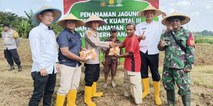 Swasembada Pangan: Polsek Cikande Tanam Jagung