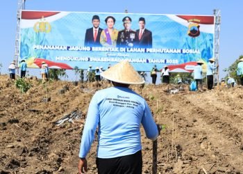 Kapolri Tanam Jagung, Target Swasembada Pangan Nasional Semakin Dekat