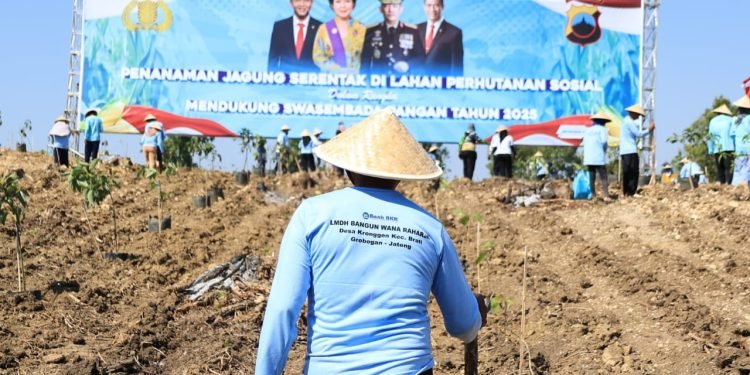 Kapolri Tanam Jagung, Target Swasembada Pangan Nasional Semakin Dekat