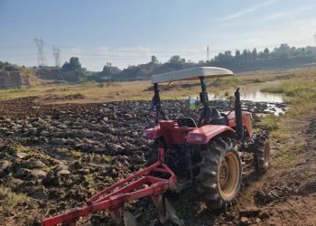 10 Hektar Jagung Hibrida di Kramatwatu:  Polri Jaga Ketahanan Pangan