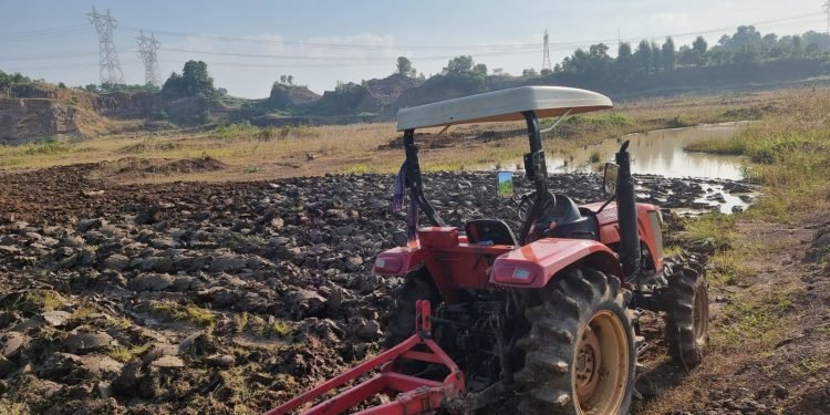 10 Hektar Jagung Hibrida di Kramatwatu:  Polri Jaga Ketahanan Pangan