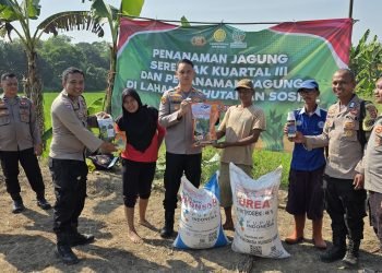Bibit Jagung untuk Ketahanan Pangan: Kerja Sama Polsek Petir dan Petani