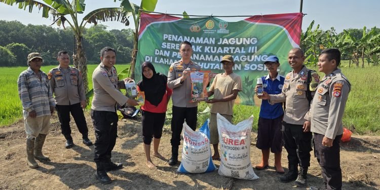 Bibit Jagung untuk Ketahanan Pangan: Kerja Sama Polsek Petir dan Petani