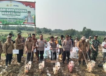 Kapolres Serang Tanam Jagung 1,5 Hektar, Dukung Ketahanan Pangan Nasional