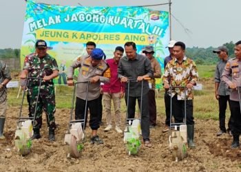 Swasembada Pangan: Kapolres Serang Bantu Petani Kopo