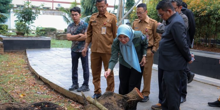 Pohon Bersejarah Banten Terlindungi