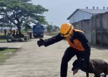 Latihan K9 di Jonggol: Polri Tingkatkan Profesionalisme Hadapi Bencana