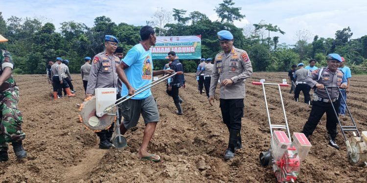 Kapolres Serang Turun ke Sawah, Wujudkan Swasembada Pangan!
