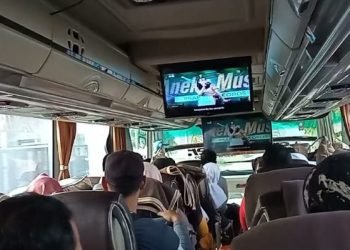 PO Bus Stop Putar Musik, Organda Jakarta: Royalti Bikin Sengsara Sopir!