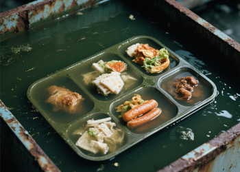 MBG: Makanan Bergizi Gratis atau Malapetaka Bergizi?