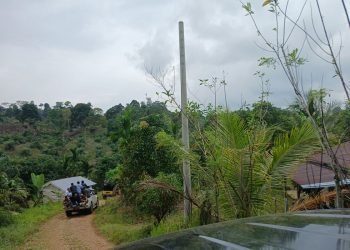 PLN Pasang Tiang Listrik Sembarangan? Warga Bisa Gugat dan Minta Ganti Rugi!