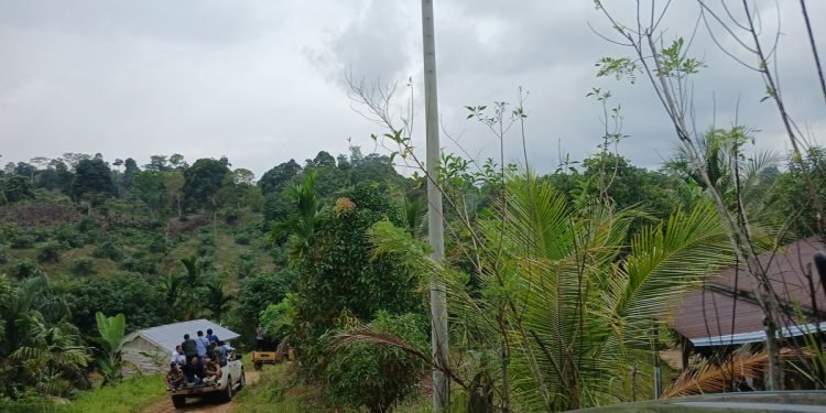 PLN Pasang Tiang Listrik Sembarangan? Warga Bisa Gugat dan Minta Ganti Rugi!