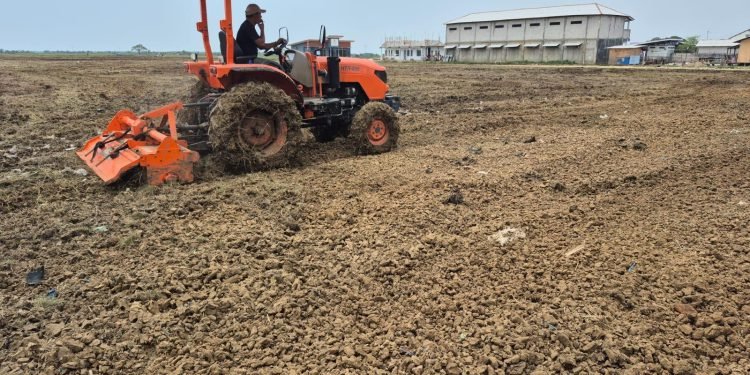 Sinergi Polri dan Masyarakat: Polsek Kronjo Olah Lahan Jagung, Bukti Nyata Kepedulian pada Ketahanan Pangan