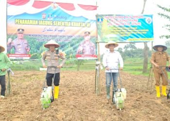 Swasembada Pangan 2025: Cikande Jadi Garda Terdepan