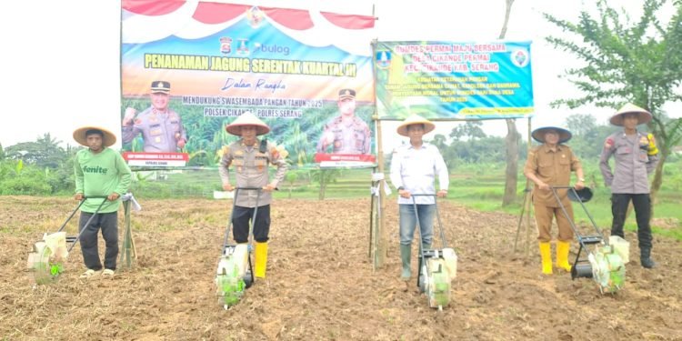 Swasembada Pangan 2025: Cikande Jadi Garda Terdepan