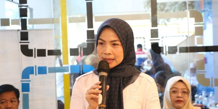 Kunker Komisi XII DPR Jadi Momentum: Bupati Serang Perjuangkan Jaringan Gas untuk Masyarakat