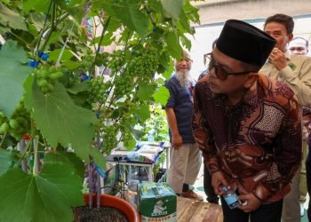 PEDA KTNA Banten 2025: Andra Soni Dorong Pertanian Modern Berbasis Teknologi
